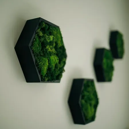 Taikos Apartamentai Klaipeda