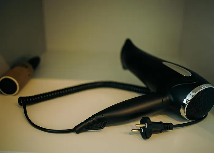 Taikos Apartamentai *