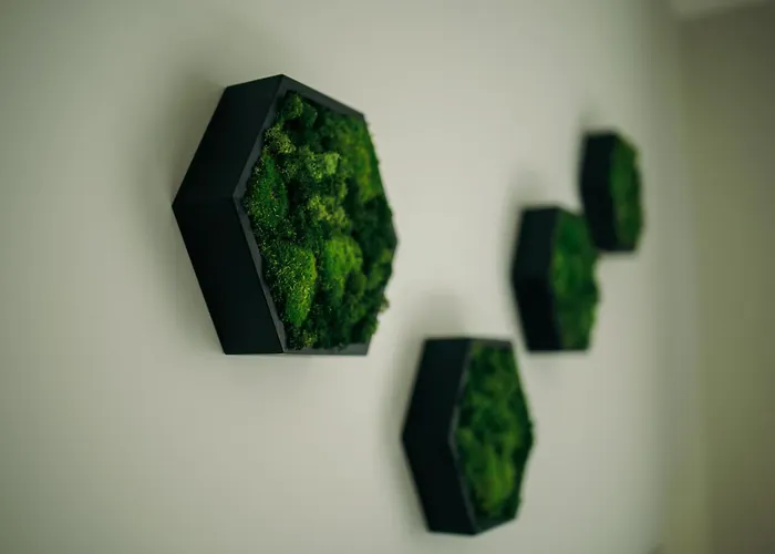 Taikos Apartamentai Klaipėda