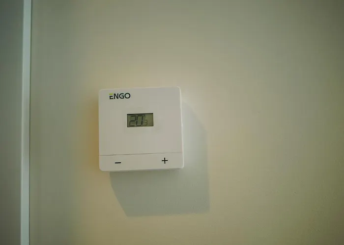 公寓 Taikos Apartamentai 克莱佩达